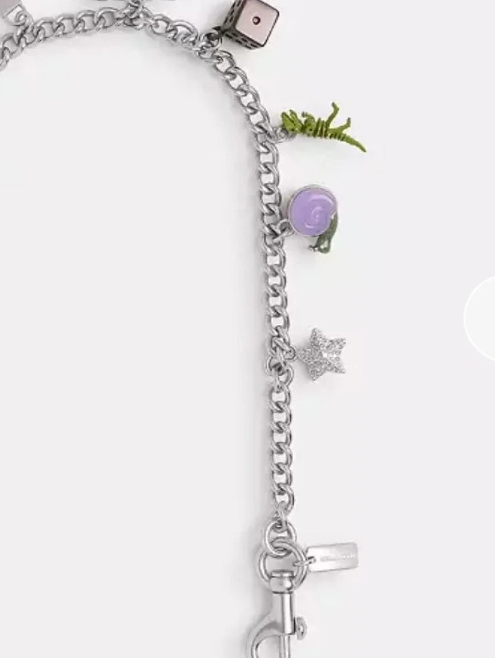 Coach Charm Chain Strap / BNWT